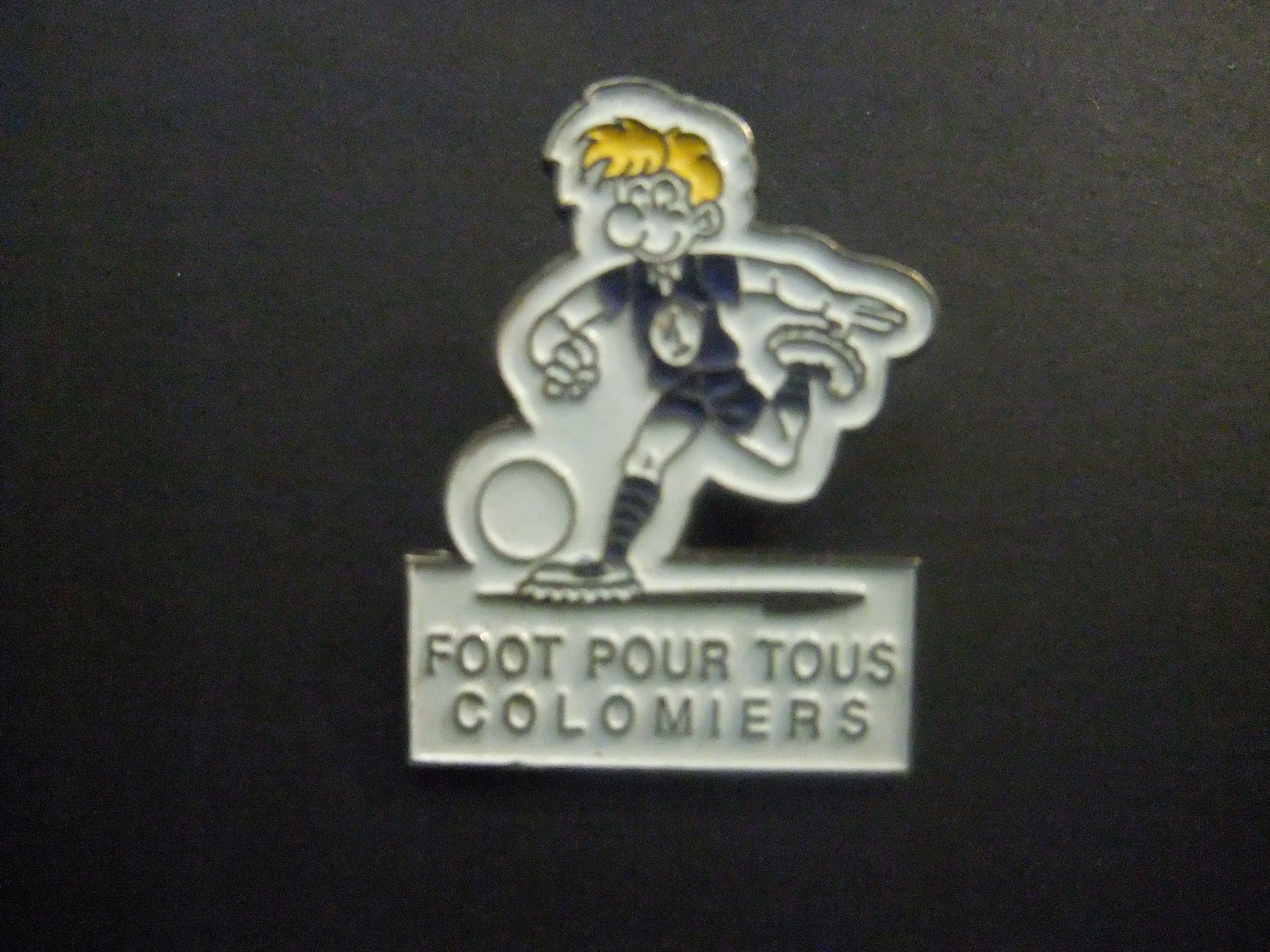 Club de foot Colomiers Franse voetbalclub